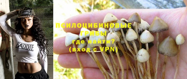 гидропоника Вяземский