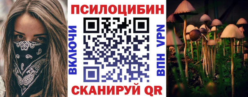 Купить где  Рассказово  Галлюциногенные грибы Psilocybine cubensis 